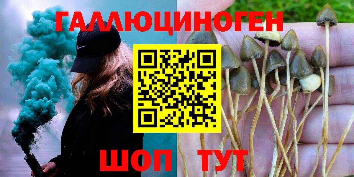 Псилоцибиновые грибы мицелий Учалы